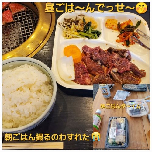 キビレの釣果