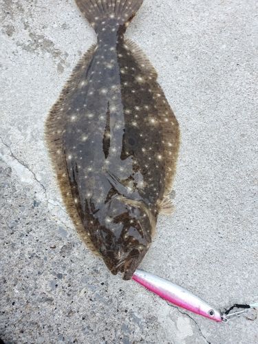 釣果