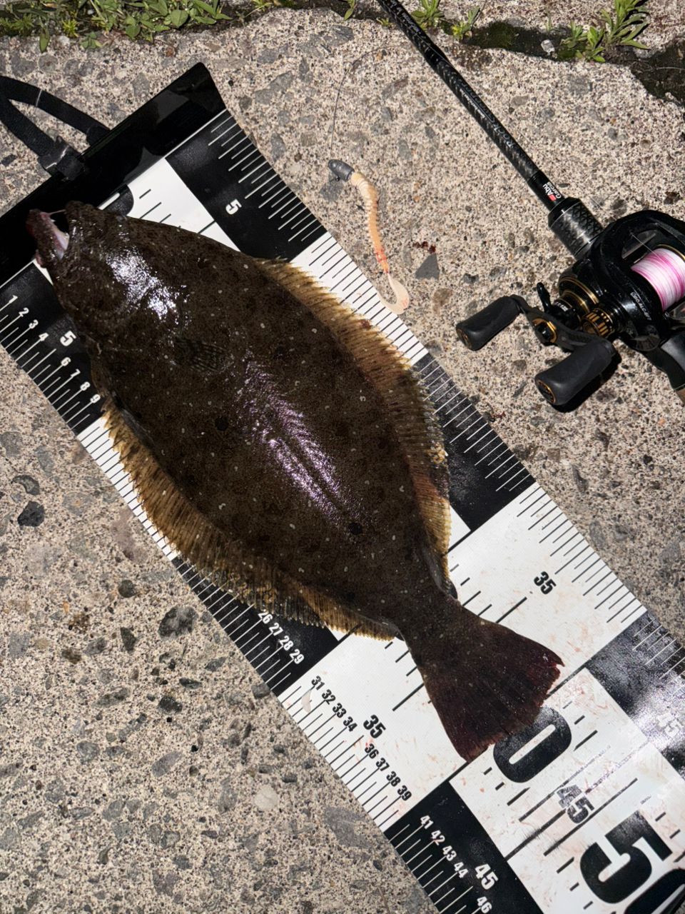 AbuGarcia ロックスイーパー・マイクロガイドシステム NRC-702M BF MGS