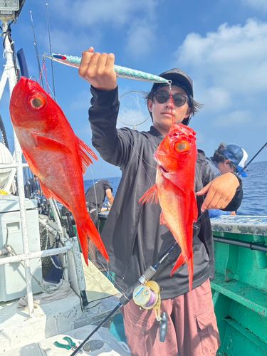 キハダマグロの釣果