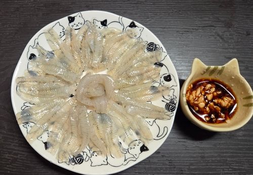 ハゼの釣果