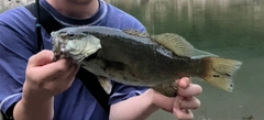 ニベの釣果
