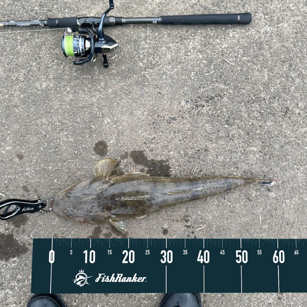 DAIWA 14ラブラックス AGS（スピニングモデル） 106Mの最安値