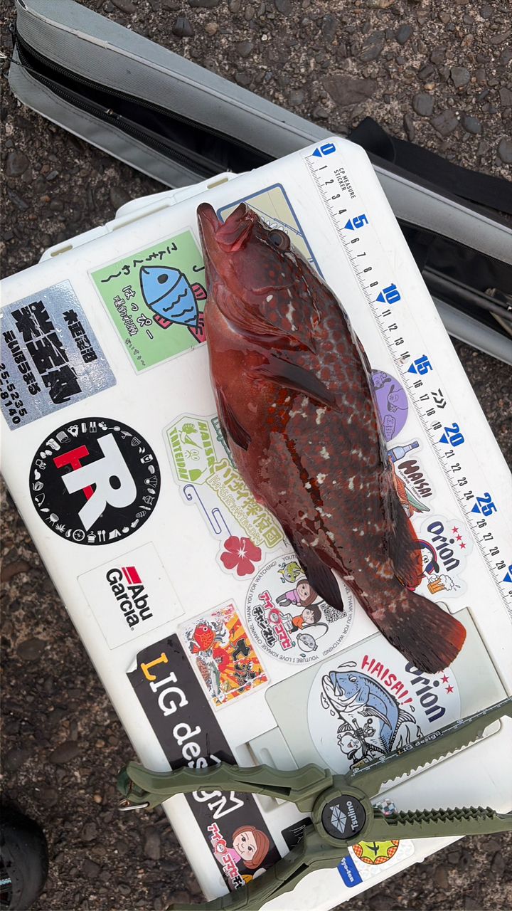 AbuGarcia ソルティースタイルシーバス STSS-962ML-KRの最安値