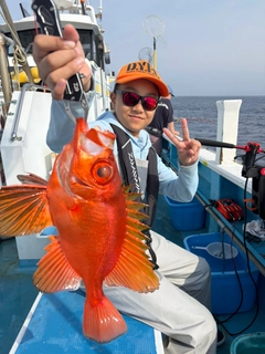 チカメキントキの釣果