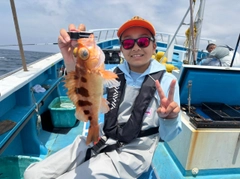ウスメバルの釣果