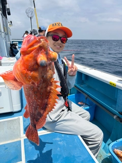 ウッカリカサゴの釣果