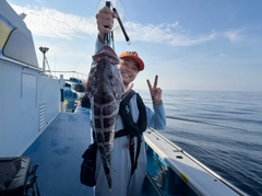 マハタの釣果