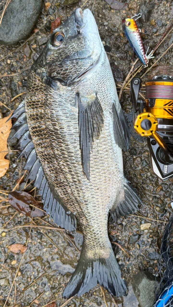 YAMAGA Blanks ブルーカレント TZ ナノ 83 Flexの最安値・インプレ