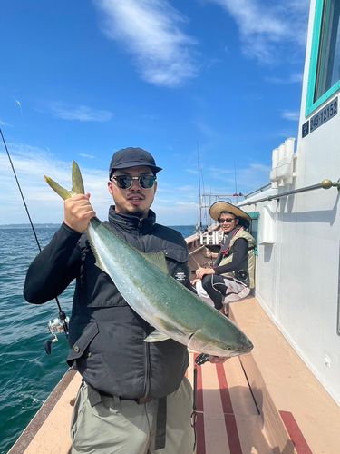 サワラの釣果