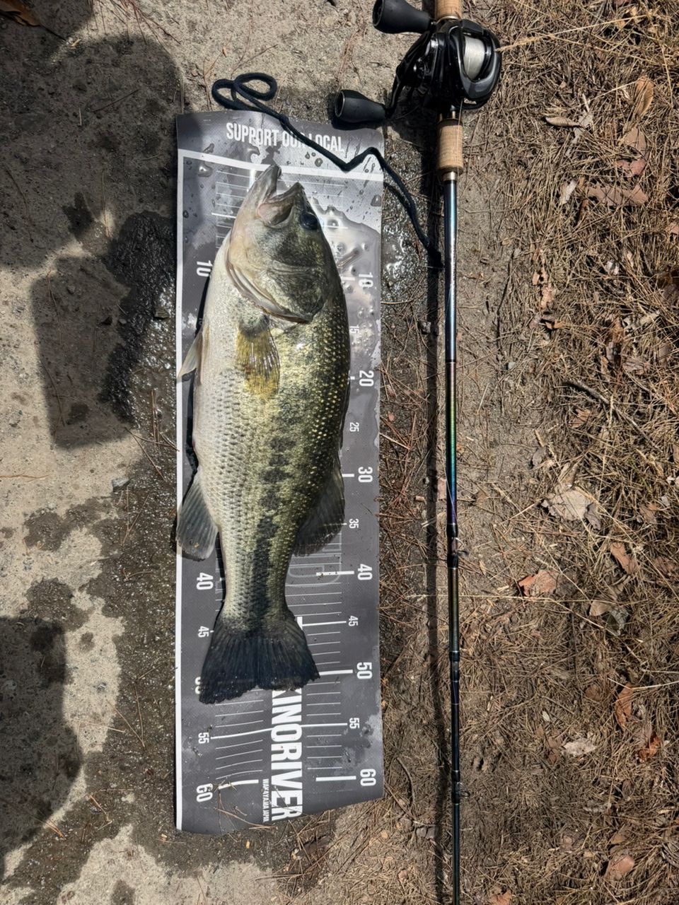 SHIMANO 23ワールドシャウラ リミテッド 1704R-2の最安値・インプレ