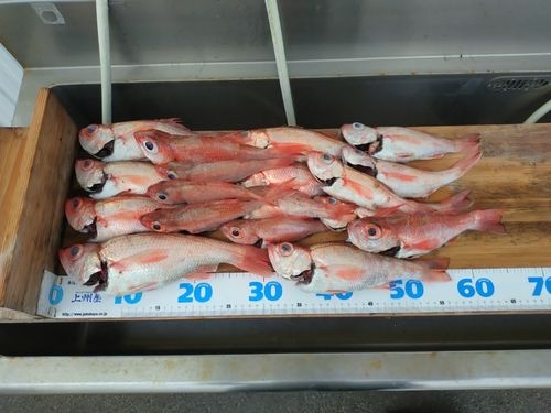 アカムツの釣果