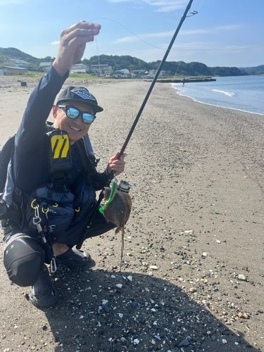 エイの釣果