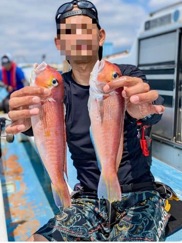 アカアマダイの釣果
