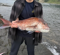 タイの釣果
