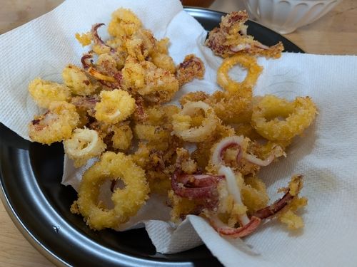 ケンサキイカの釣果