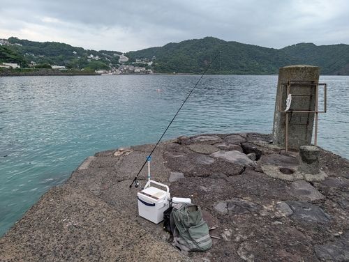 ハマフエフキダイの釣果