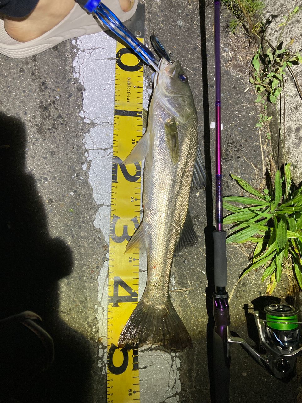 DAIWA 23ハートランド リベラリスト 763MLRSS-24の最安値・インプレ