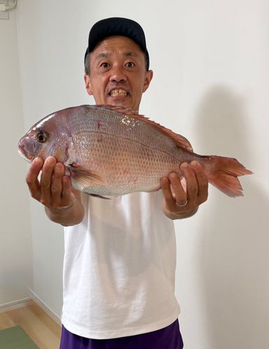 タイの釣果