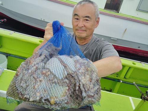 マダコの釣果