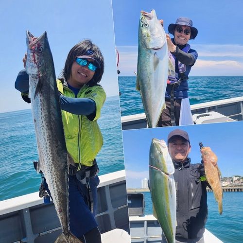 ブリの釣果