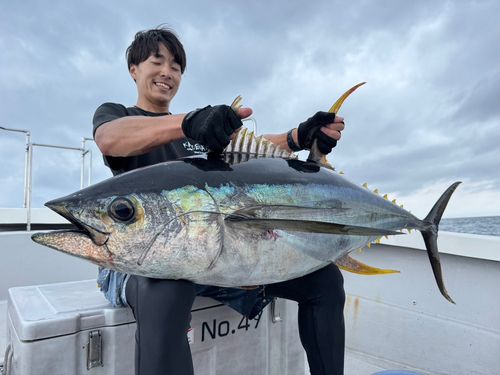 キハダマグロの釣果