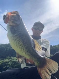 ブラックバスの釣果