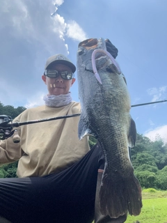 ブラックバスの釣果