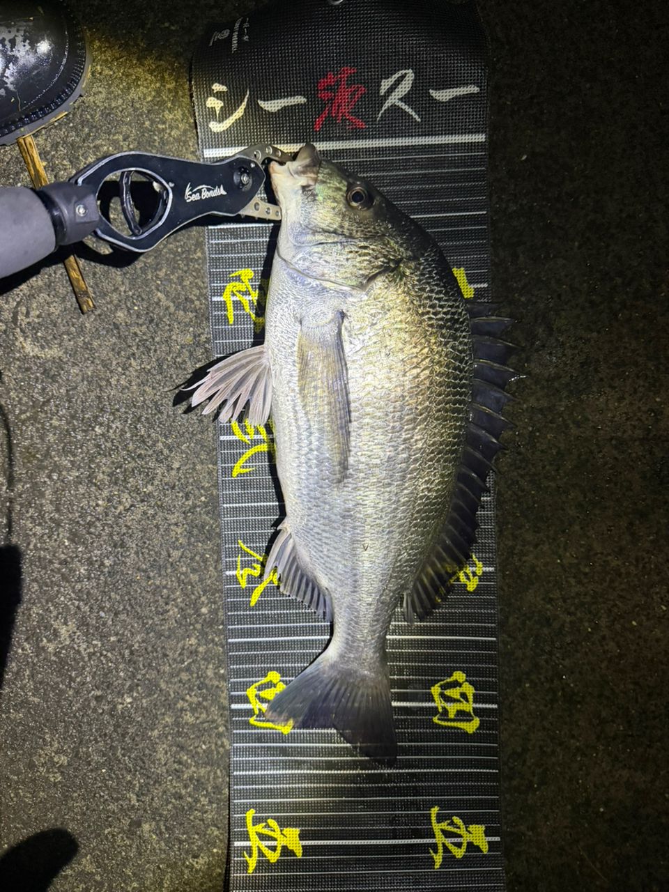 DAIWA 14ラブラックス AGS（スピニングモデル） 106Mの最安値