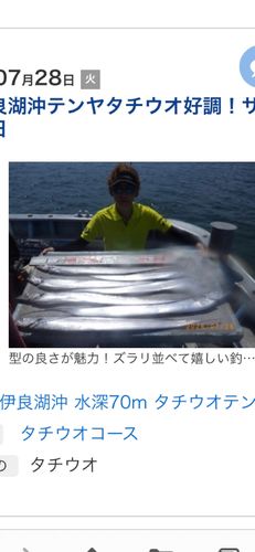 タチウオの釣果