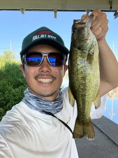 ラージマウスバスの釣果