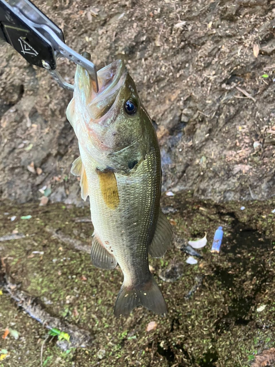 DAIWA 20リベリオン（センターカット2ピース スピニングモデル