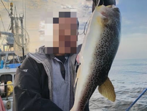 ショウサイフグの釣果