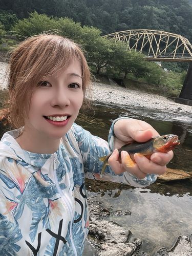カワムツの釣果