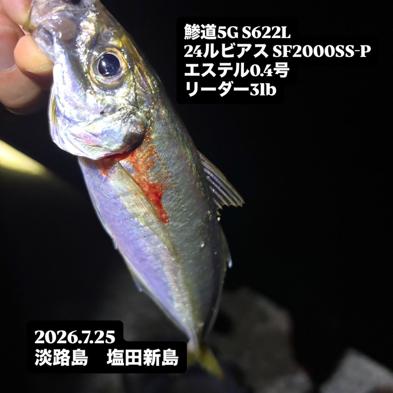 MajorCraft 鯵道 5G AD5-S622L/AJIの最安値・インプレ・釣果 | 本音の