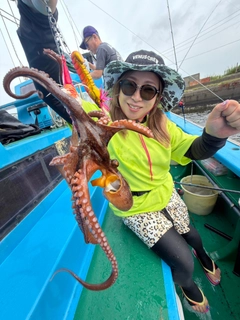 マダコの釣果