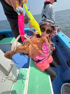 マダコの釣果