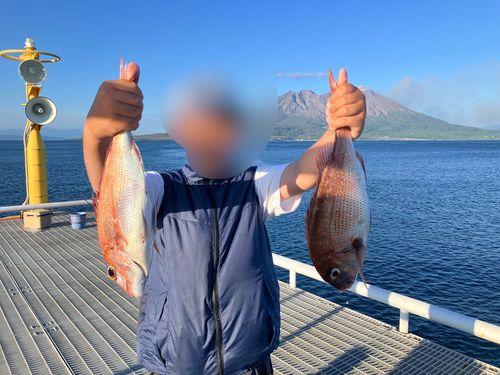 タイの釣果