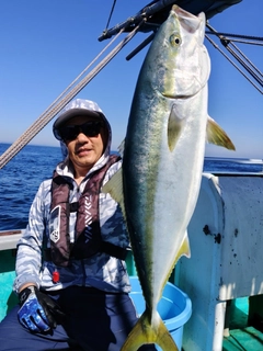 ワラサの釣果