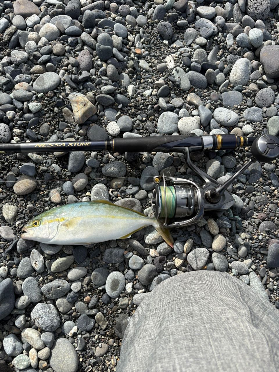 SHIMANO 20ネッサ エクスチューン S106MHの最安値・インプレ・釣果