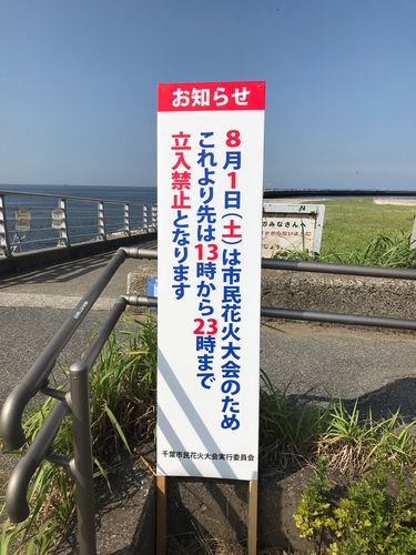 ホシザメの釣果