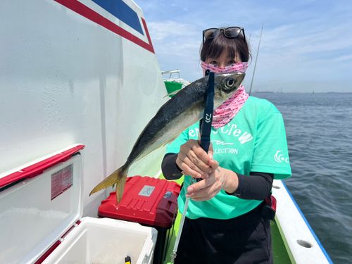 マアジの釣果