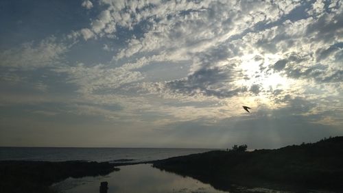 アユの釣果
