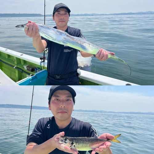 マアジの釣果