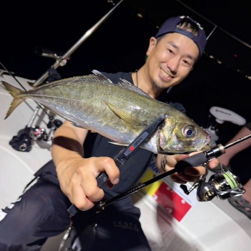 マアジの釣果