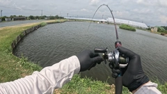 コロソマの釣果
