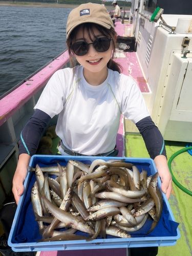 シロギスの釣果