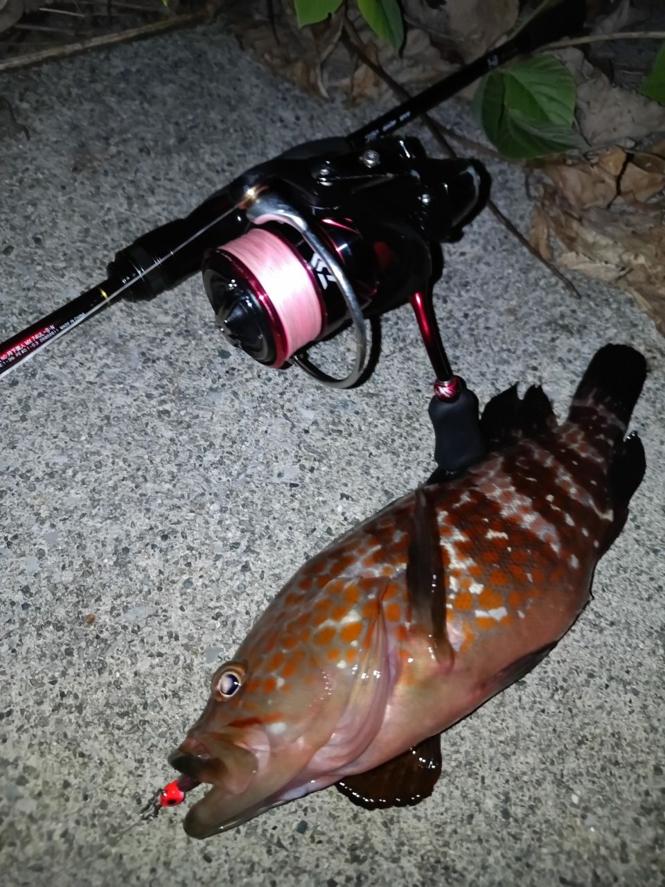 【最終値下】 21月下美人 MX メバル 74UL-S・N DAIWA 21月下美人 MX 74UL-S・Nの最安値・インプレ・釣果 | 本音の