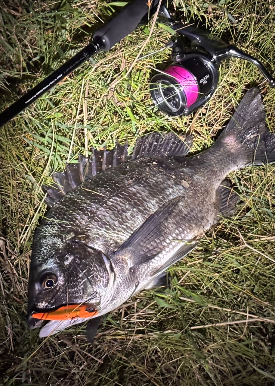 SHIMANO 22ステラ 4000MHGの最安値・インプレ・釣果 | 本音の口コミが