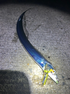 タチウオの釣果